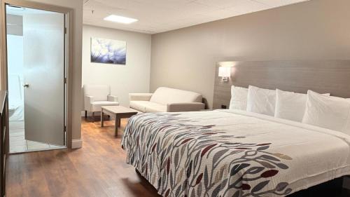 Swansea Hotel | Cozy Rodeway Inn: Pet-Friendly Stay for Every Traveler