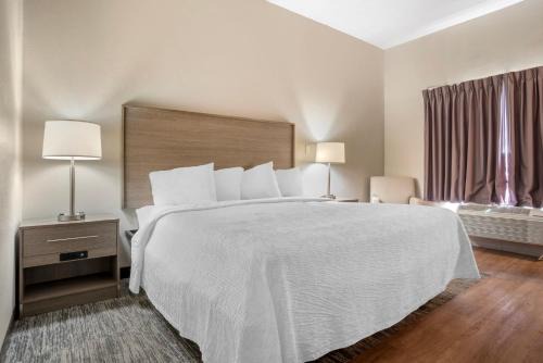 Vicksburg Hotel | Budget-Friendly Stay at Red Roof Inn & Suites Vicksburg