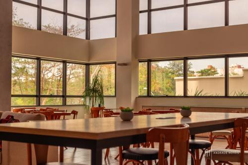 Sao Luis Hotel | Discover SLZ Lagoa Hotel: Oceanfront Bliss Awaits