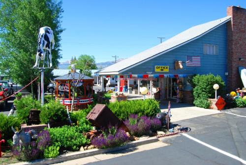 Bridgeport Hotel | Comfortable Redwood Motel - Pet-Friendly & Family-Oriented Stay