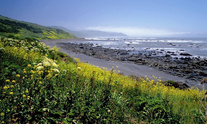Ferndale Hotel | Seaside Serenity at Redwood Suites with Oceanfront Views