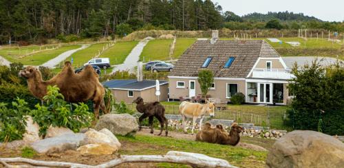 Ebeltoft House | Explore Ree Park Safari: Family-Friendly Adventure Awaits