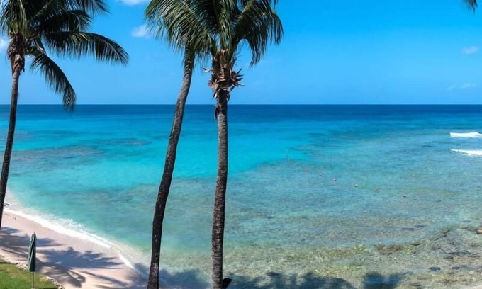 Reeds Bay Apartment | Reeds House 14: Ocean View Retreat near White Sandy Beaches