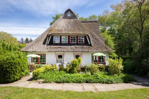 Manhagen House | Relaxing Reetdachhaus Near the Baltic Sea with Outdoor Sauna