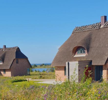 Nieby House | Exceptional Stay at Reetdorf Geltinger Birk Atelierhaus