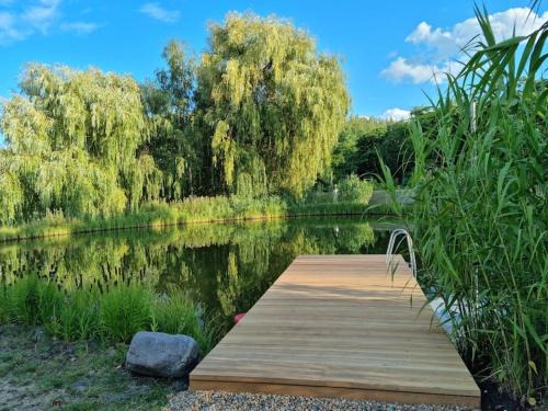 Kiskunmajsa House | Relax at Reethouse Nature Resort with Pool and Sauna