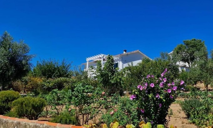 Vila de Rei House | Family-Friendly Retreat at Refugio Abrunheiro Grande