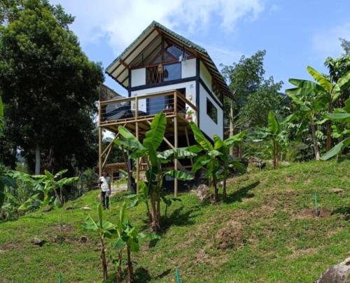 San Carlos House | Pet-Friendly Retreat at Refugio Cabaña San Carlos