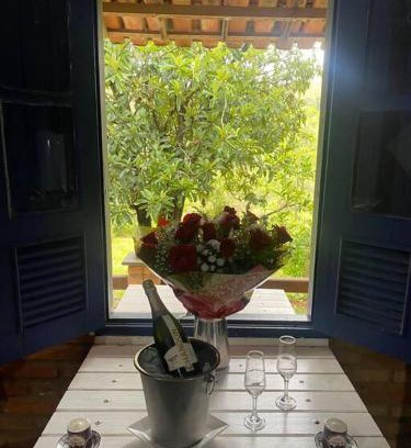 Fabricas Apartment | Delightful Refugio do Amor: 4-Star Pet-Friendly Retreat