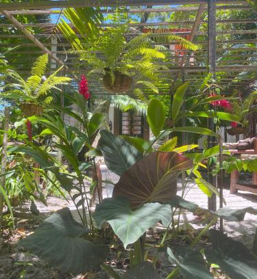 Morere House | Unforgettable Stay at Refugio do Sagrado Morere - Rated 9.7