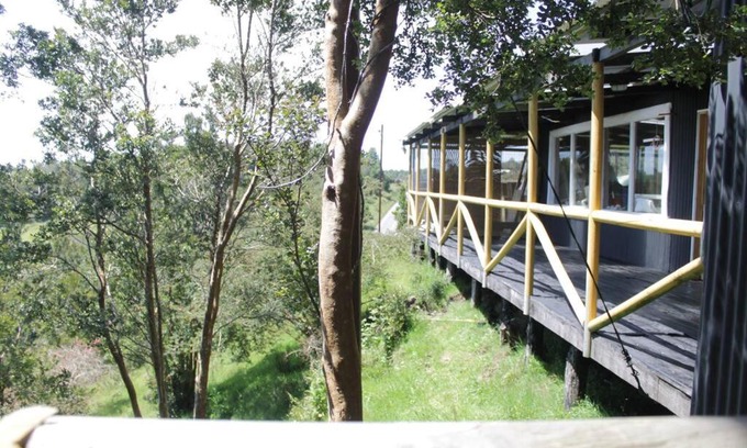 Quemchi Apartment | Family Retreat in the Beautiful Aucar Forests, Chiloé