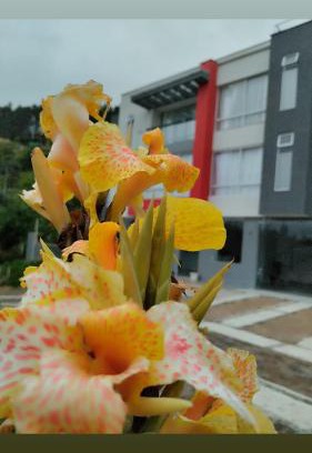 Duitama Apartment | Pet-Friendly Retreat: Refugio Flores de María, Rated 9/10