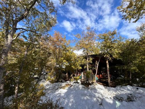 Pinto House | Inviting Refugio Nativo: Pet-Friendly Retreat with Hot Tub