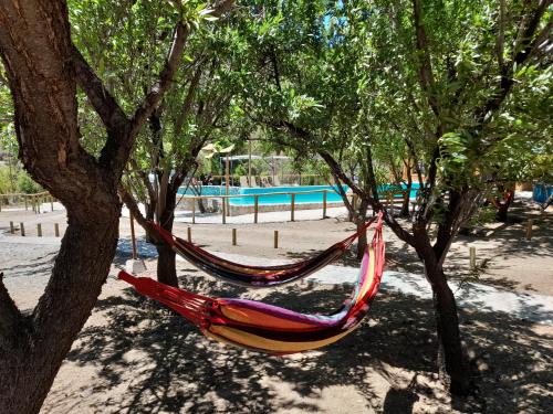 El Ingenio Cabin | Family-Friendly Refugio Piedra Madre with Inviting Pool
