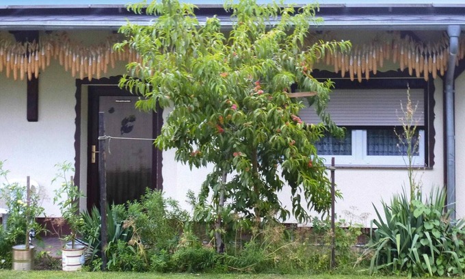 Lubben House | Cozy Bungalow in Lübben with Parking & Breakfast Included