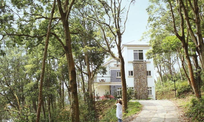 Sanyi Bed & Breakfast | Reindeer Miaoli Green Wave