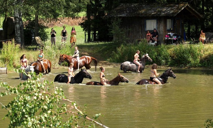 Rainbach House | Pet-Friendly Retreat at Reiterhof Stöglehner – 8.4/10 Rated