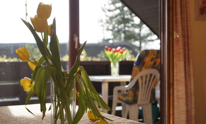 Suederluegum House | Discover Reiterhof Wollesen: Family-Friendly & Spa Retreat