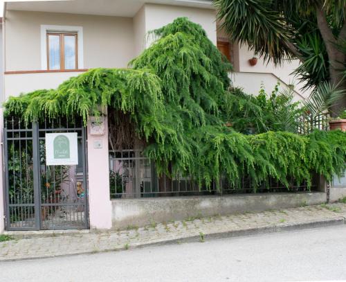 Sant'Agata de'Goti Bed & Breakfast | Relais L'Eucalipto