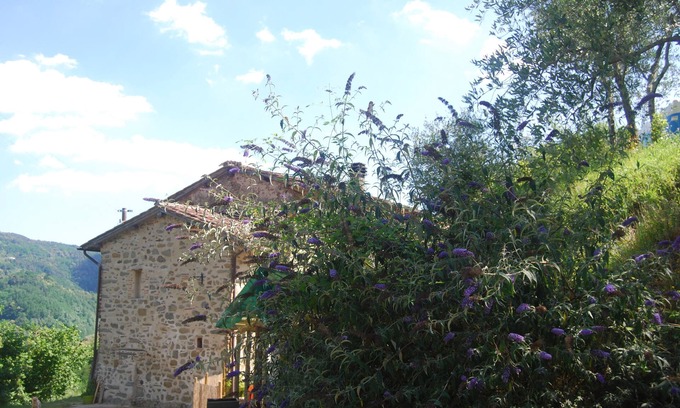 Pescia Apartment | Unwind at Relax al Poggio: Ocean View & Private Pool