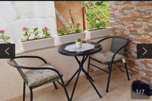 Leskovac Apartment | Relax apartman 01