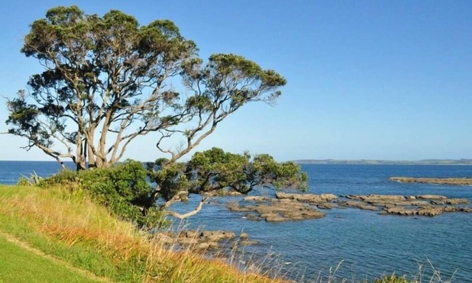 Leigh House | Discover a Tranquil Retreat at Matheson Bay