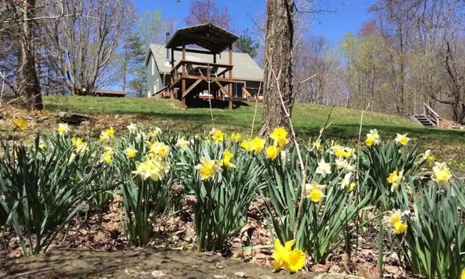 Fleischmanns Cabin | Discover Tranquil Retreats in Secluded Woods & Mountains