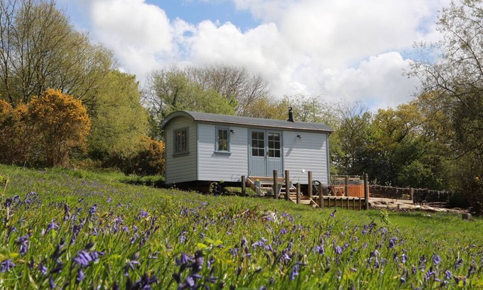 West Buckland Cabin | Experience Comfort at The Old Rose Shepherd Hut with Hot Tub
