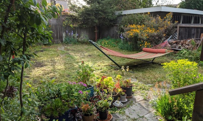 Albany House | Tranquil House Near Berkeley with Family-Friendly Amenities