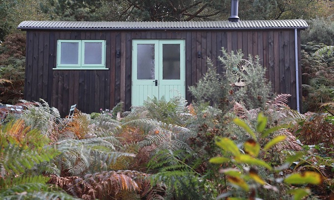West Buckland Cabin | Discover the Woodland Hideaway: Hut Retreat and Hot Tub