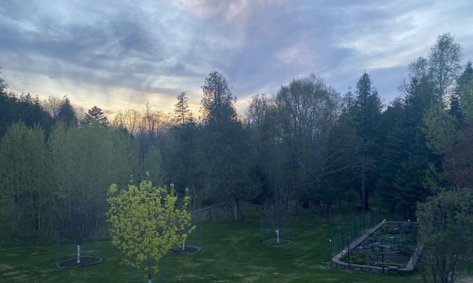 Duluth House | Tranquil Woods Retreat: Pet-Friendly Stay with Pool & Breakfast