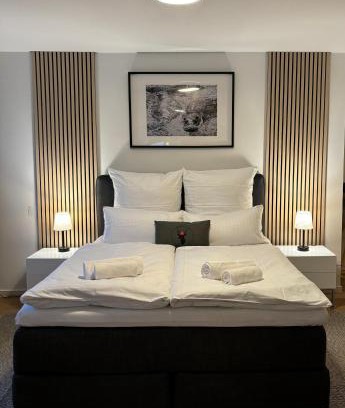 Bad Bellingen Apartment | Modern Apartment with Kitchen, Terrace & Parking Available