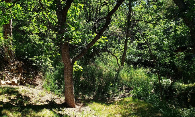 Rapid City Cabin | Cozy Remodeled Retreat Near City Limits with Pool & Spa