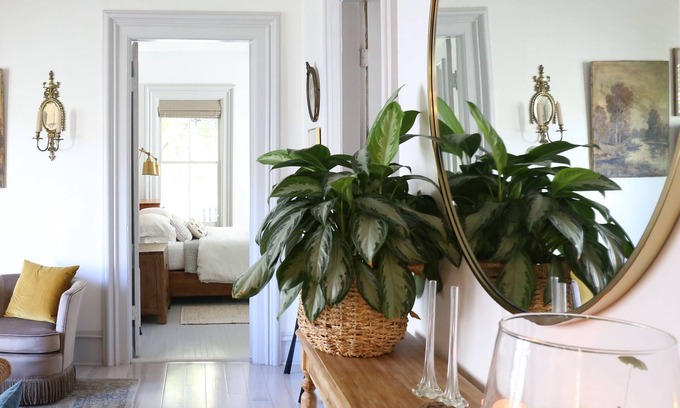 Ithaca House | Historic 1800s Victorian in Ithaca: Close to Parks & Downtown