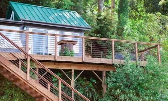 Lakeside Cabin | Secluded Lakefront Cabin: Pet-Friendly with Great Views