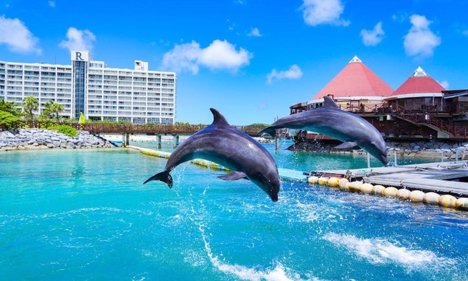 Yamada Resort | Discover Renaissance Okinawa Resort: Oceanfront Paradise Awaits
