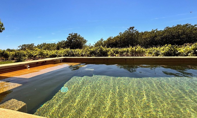 Saint-Pierre-de-Vassols Other | Renovated Mas with Pool at the Foot of Ventoux for Groups
