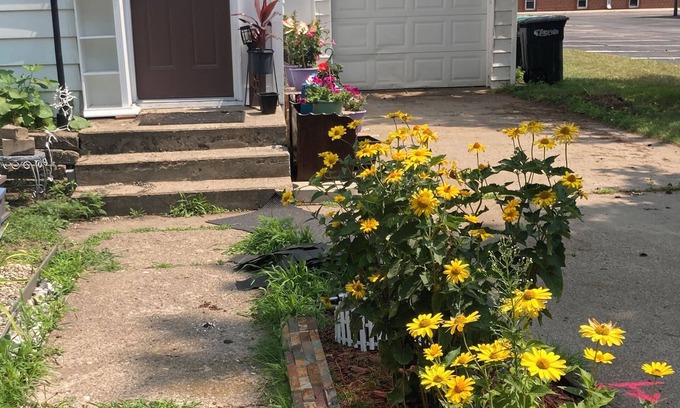 Little Falls House | Renovated 1888 Gem in Original Little Falls - Clean, Comfy, Pet Friendly, WiFi