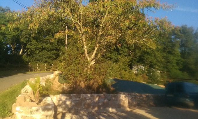Domme Cottage | Renovated Farm Stay in Beautiful Domme Périgord Noir