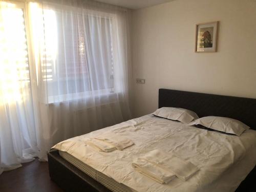 Panevezys Apartment | Cozy Home Rentals: Pet-Friendly with Free Breakfast