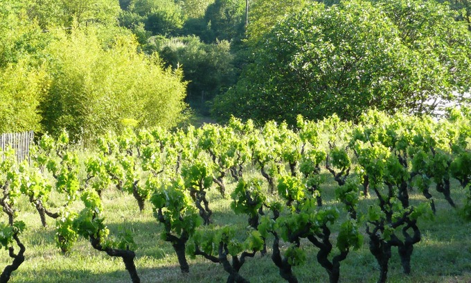 Saint-Antonin-du-Var House | Experience Nature at a Restored Provencal Farmhouse