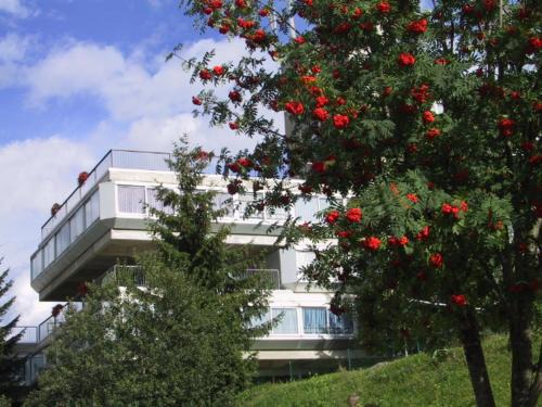 Marilleva Apartment | Pet-Friendly Res. Marilleva 1400 Apt.Solandra Awaits You