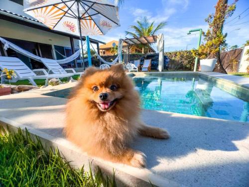 Paiva House | Reserve Do Paiva - Your Ideal Oceanfront Getaway