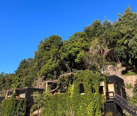 Constitucion Cabin | Discover Reserva los Bollenes: Family-Friendly Retreat