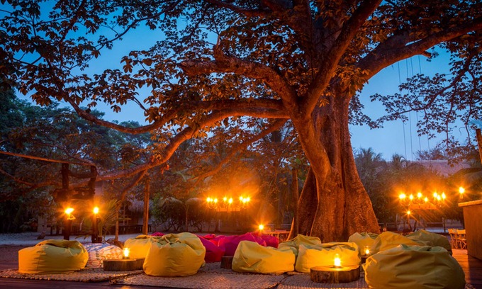 Palomino Cabin | Experience Nature at Reserva Natural El Matuy - 10/10 Rated