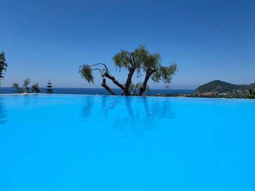 Santa Maria di Castellabate Apartment | Cozy Residence Serrone with Pool and Private Beach Views