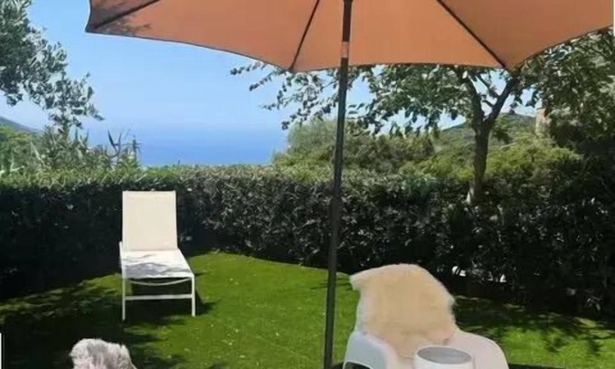 Villanova Apartment | Residence Aja260-001-villanova - Apartment ground floor 3 rooms 4 beds SCAGLIOLI