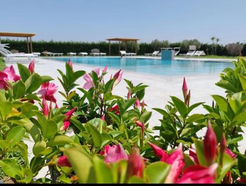 Grosseto Apartment | Relax and Unwind at Residence Pace – Rated 9/10