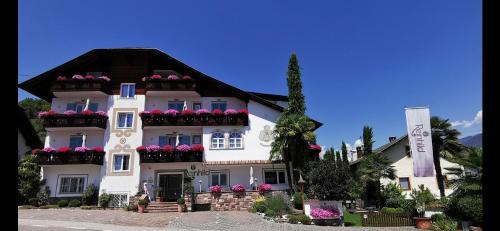 Nalles Apartment | Elegant Residence Reinhild: Oceanfront, Pet-Friendly Retreat