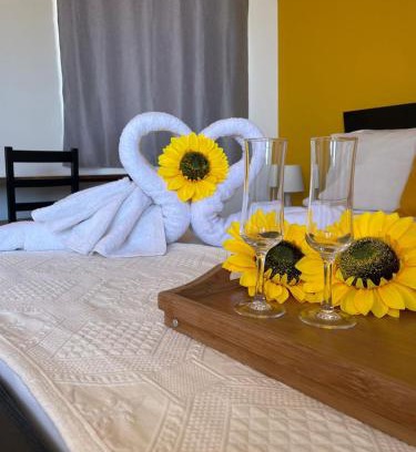 Ponta do Sol Bed & Breakfast | Inviting Oceanfront Stay at Residencial Sol Point Art